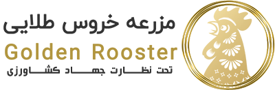 logo goloden rooster